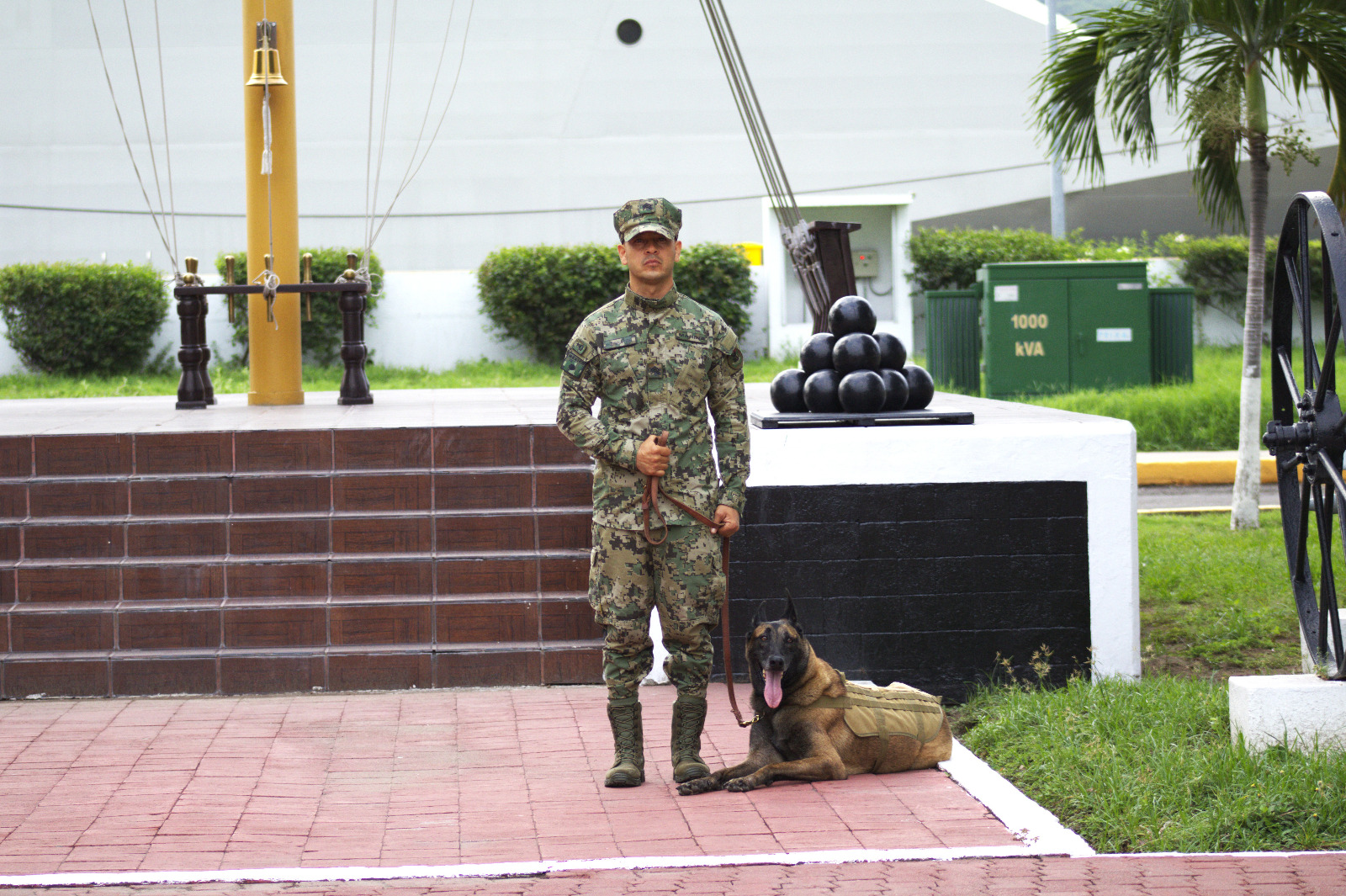 El pastor belga ayudó a interceptar armas y explosivos en Manzanillo.
