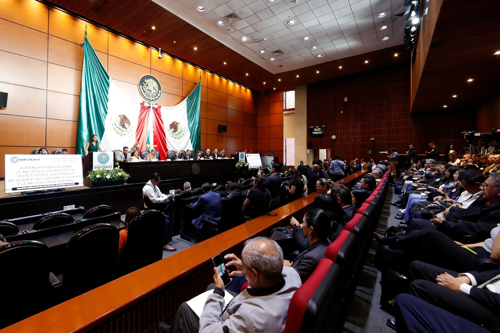 Académicos y activistas demandan más recursos y vigilancia ambiental.