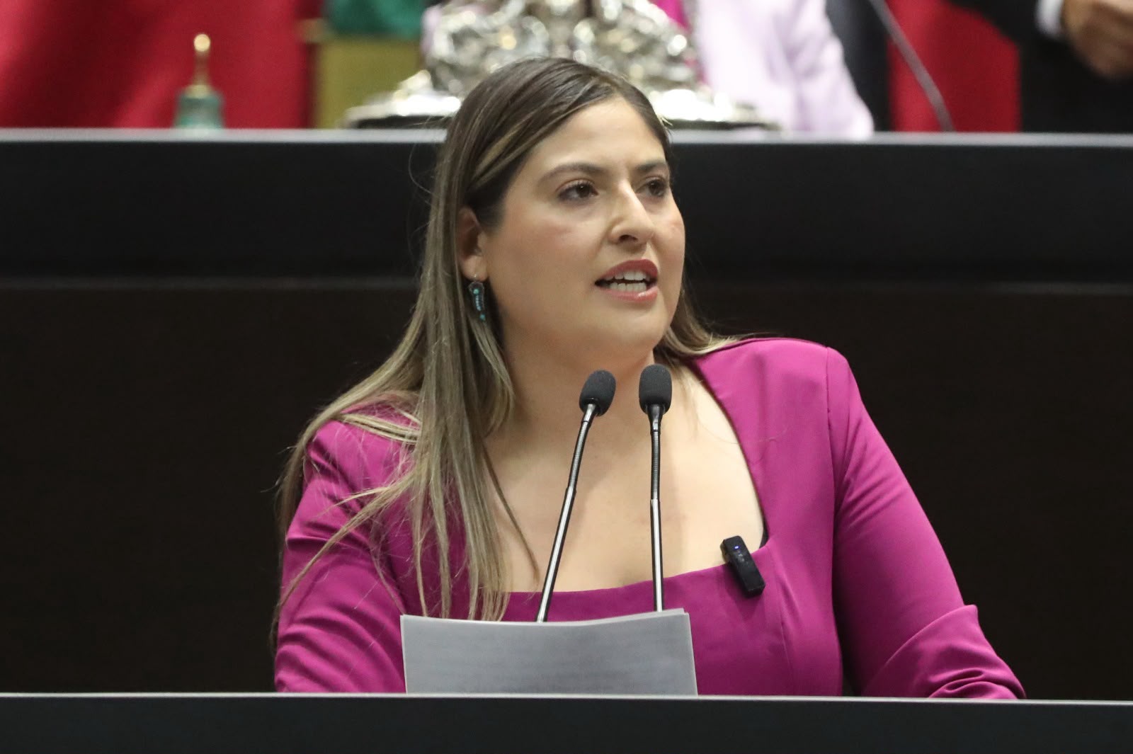 Buscan garantizar derechos y representación política a connacionales.