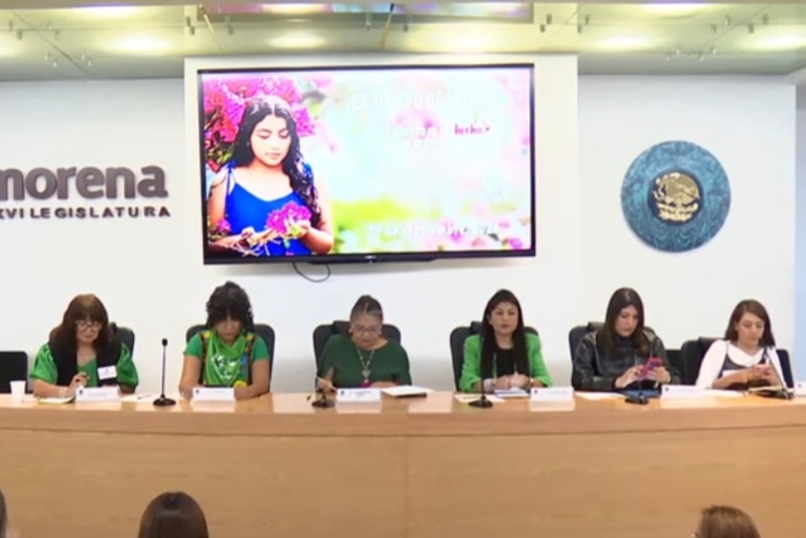 Acusan freno legislativo para eliminar el delito de aborto en México.